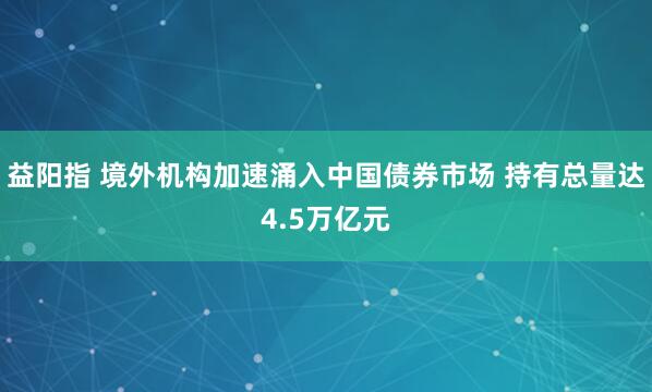 益阳指 境外机构加速涌入中国债券市场 持有总量达4.5万亿元