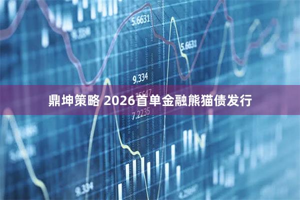 鼎坤策略 2026首单金融熊猫债发行