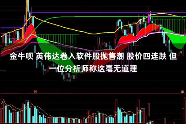 金牛呗 英伟达卷入软件股抛售潮 股价四连跌 但一位分析师称这毫无道理